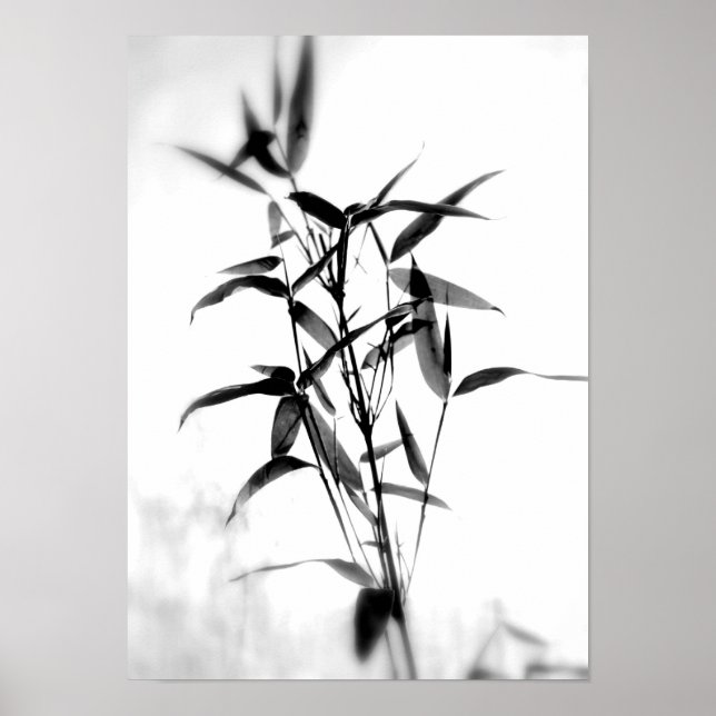 Bamboo Sillouette Poster (Vorne)