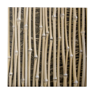 Bamboo Texture Fliese