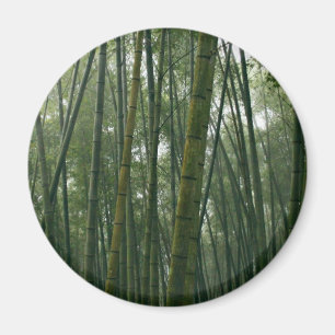 Bamboos Magnet