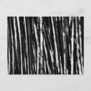 Bambus Postkarte