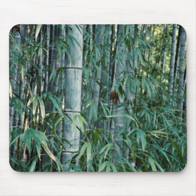 Bambusbäume, Kumamoto, Japan Mousepad (Vorne)