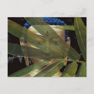 Bambusbuddha Postkarte