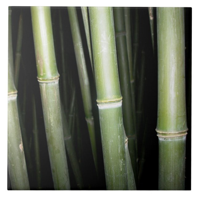Bambusentwurfs-Wand-Fliese Fliese (Vorderseite)