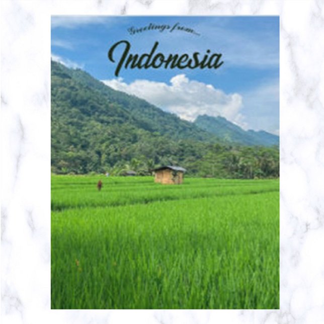 Bambushütte auf einem Reisfeld in Indonesien Postkarte (Von Creator hochgeladen)