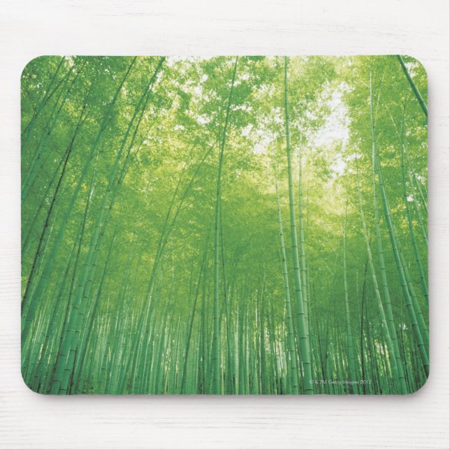 Bambuswald 2 mousepad (Vorne)