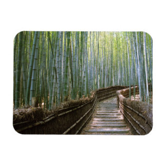 Bambuswald in Kyoto Magnet