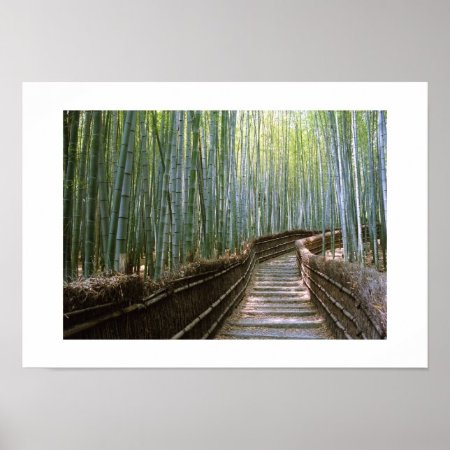 Bambuswald: Kyoto, Japan Poster (Vorne)