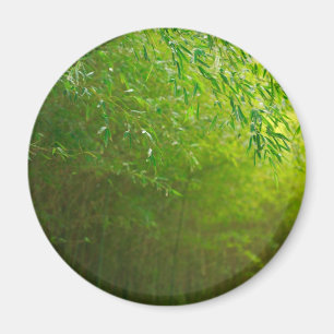 Bambuswald Magnet