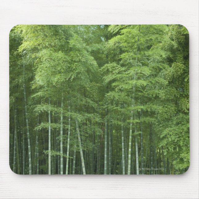 Bambuswald Mousepad (Vorne)