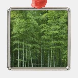 Bambuswald Silbernes Ornament