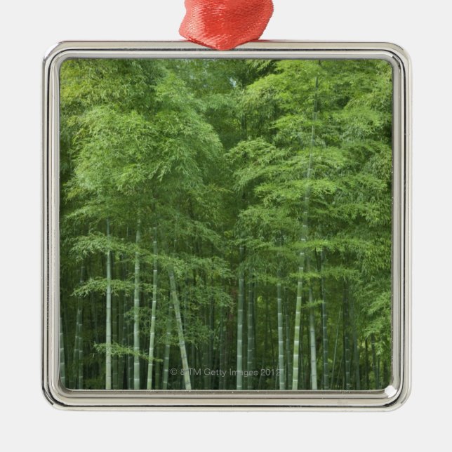 Bambuswald Silbernes Ornament (Vorne)