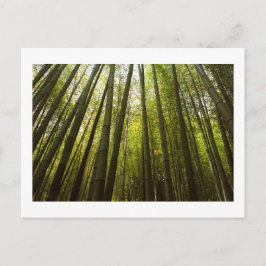 Bambuswald von Sagano, Postkarte von Kyoto