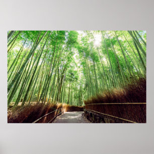 Bambuswaldung   Arashiyama, Kyoto, Japan Poster