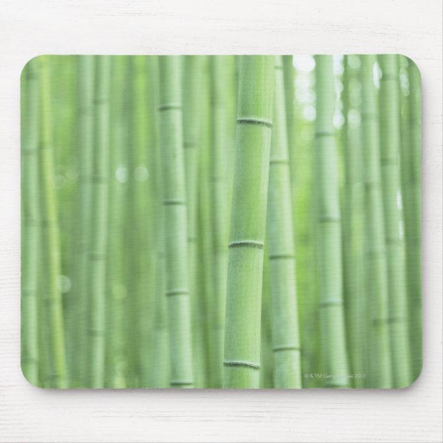 Bambuswaldung Mousepad (Vorne)
