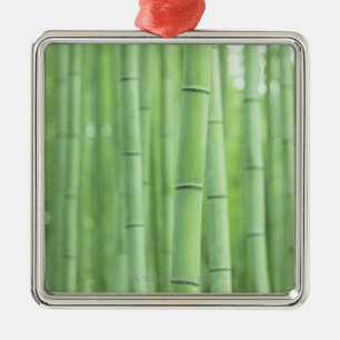Bambuswaldung Silbernes Ornament