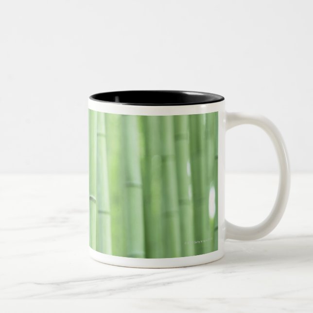 Bambuswaldung Zweifarbige Tasse (Rechts)