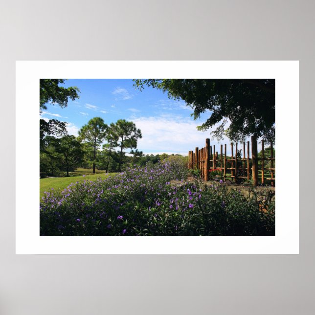 Bambuszaun-Perspektive Poster (Vorne)