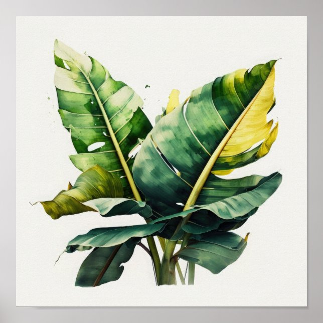 Banana Blätter Art Print Poster (Vorne)