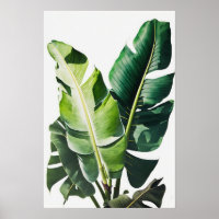 Banana Blätter Art Print Poster