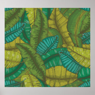 Banana-Blätter: Botanische Vintage Hand Gezeichnet Poster