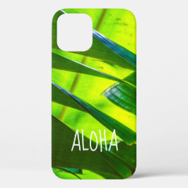 Banana Blätter, McBryde Garden, Kauai, Hawaii Case