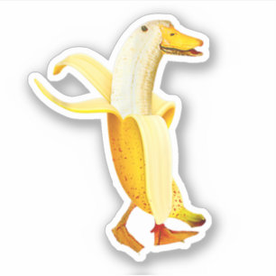 Banana Duck. Funny Anthropomorphe Obsttiere Aufkleber