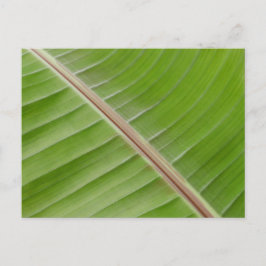 Banana Leaf Postcard Postkarte