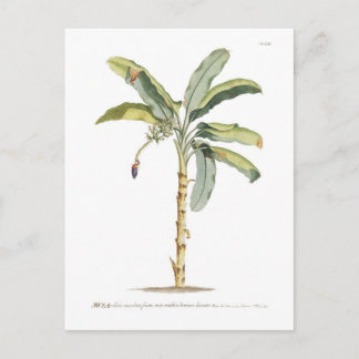 Banana Postkarte