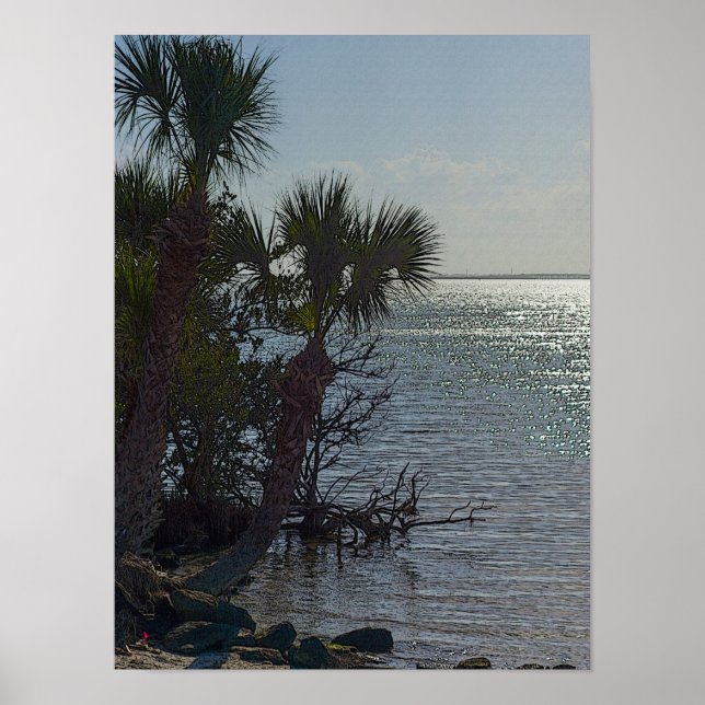 Banana River Palm Trees Painterly Poster (Vorne)