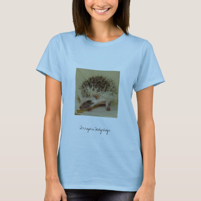 Banana- splitdosenschildkröte-Igel T-Shirt (Vorderseite)
