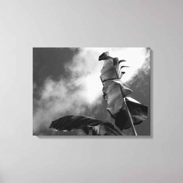 Banana Tree Leinwanddruck (Vorderseite)