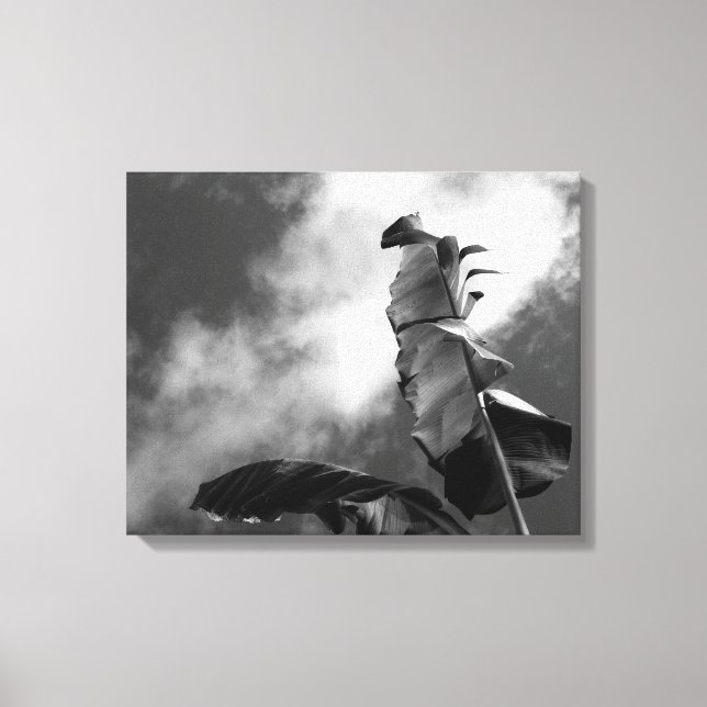 Banana Tree Portrait Leinwanddruck (Vorderseite)