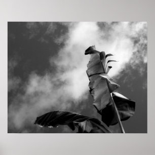 Banana Tree Schwarz-Weiß-Portrait Poster