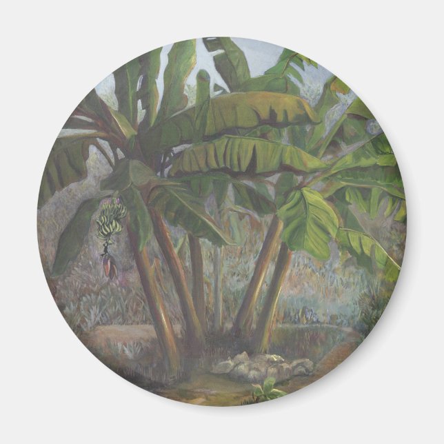 Banana Trees Magnet (Vorne)