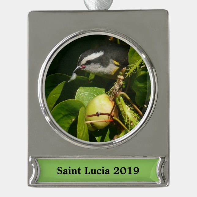 Bananaquit Bird essen tropische Fotografie Banner-Ornament Silber (Vorderseite)