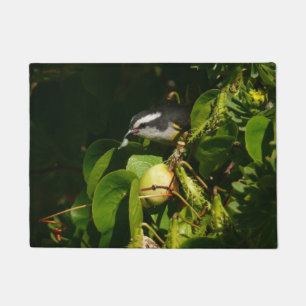 Bananaquit Bird essen tropische Fotografie Fußmatte