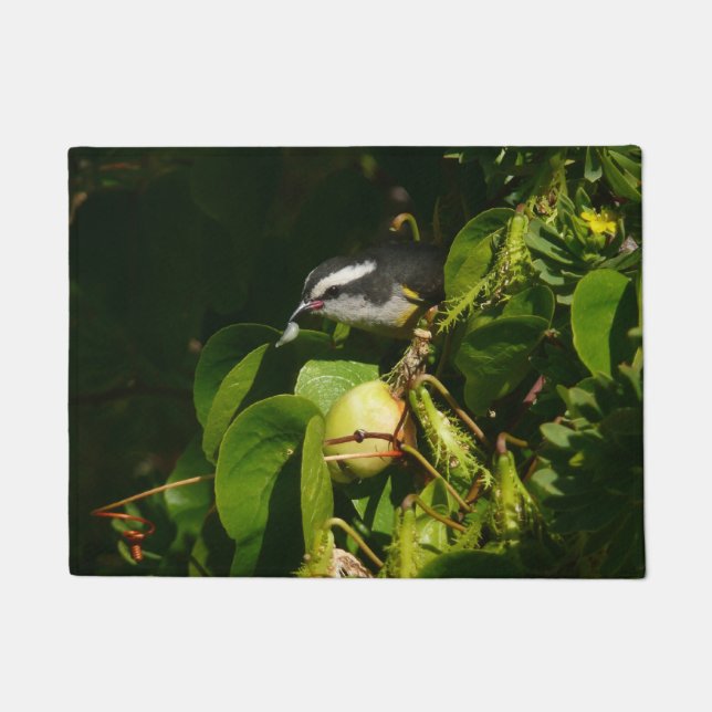 Bananaquit Bird essen tropische Fotografie Fußmatte (Vorderseite)