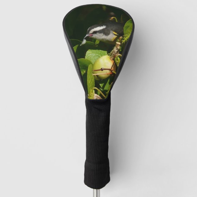 Bananaquit Bird essen tropische Fotografie Golf Headcover (Vorderseite)