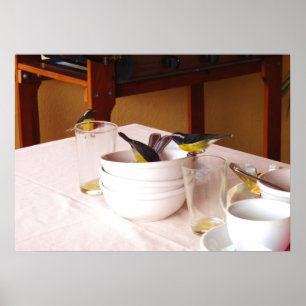 Bananaquit-Vögel Coreba Falveola Poster