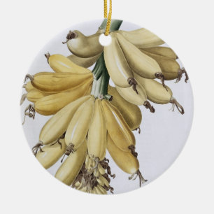 Banane, 1816 keramikornament
