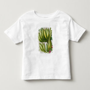 Banane, graviert von Johann Jakob Haid (1704-67) Kleinkind T-shirt