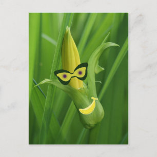 Bananen Postkarte