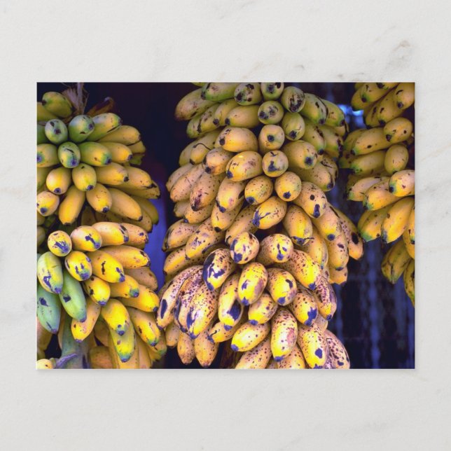 Bananen zum Verkauf auf dem Markt, Puerto Rico Postkarte (Vorderseite)
