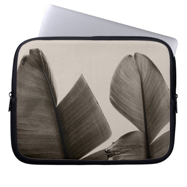 Bananenbaum-Blätter in Sepia Laptopschutzhülle (Vorderseite)