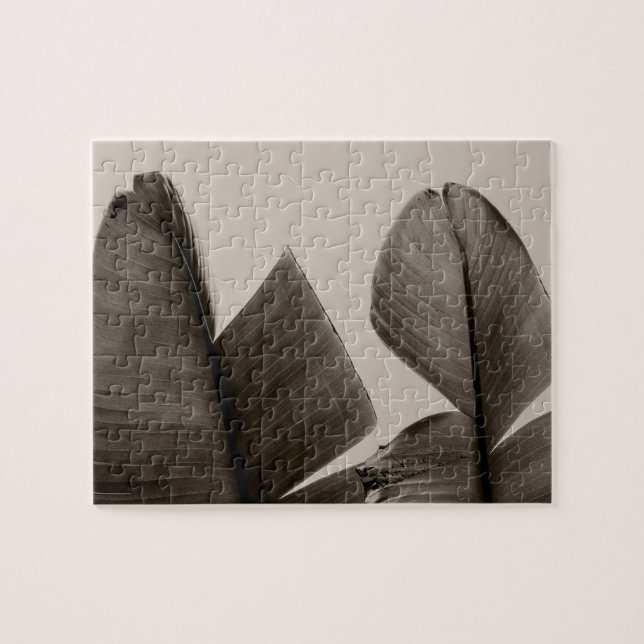 Bananenbaum-Blätter in Sepia Puzzle (Horizontal)