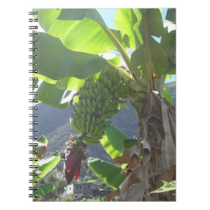 Bananenbaum mit Blume-Notebook Notizblock