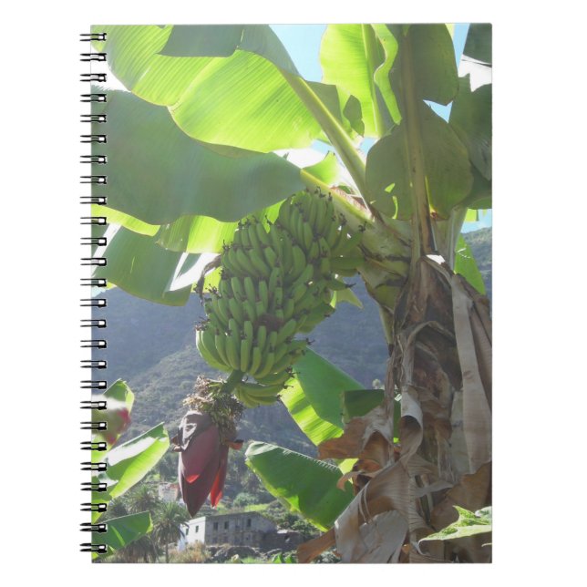 Bananenbaum mit Blume-Notebook Notizblock (Vorderseite)