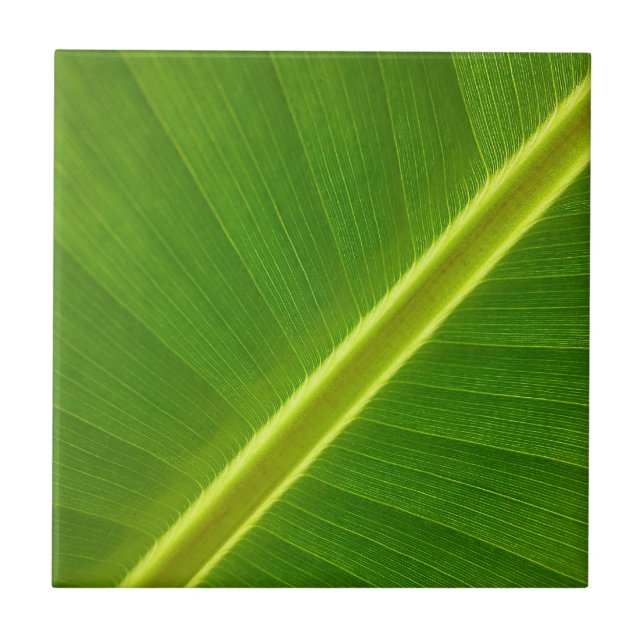 Bananenblatt Fliese (Vorderseite)