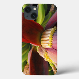 Bananenblüte iPhone 13 Hülle