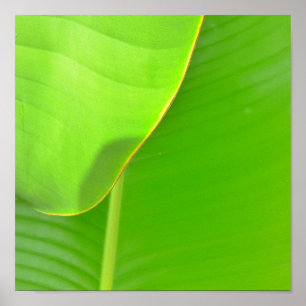 Bananenfalten Poster